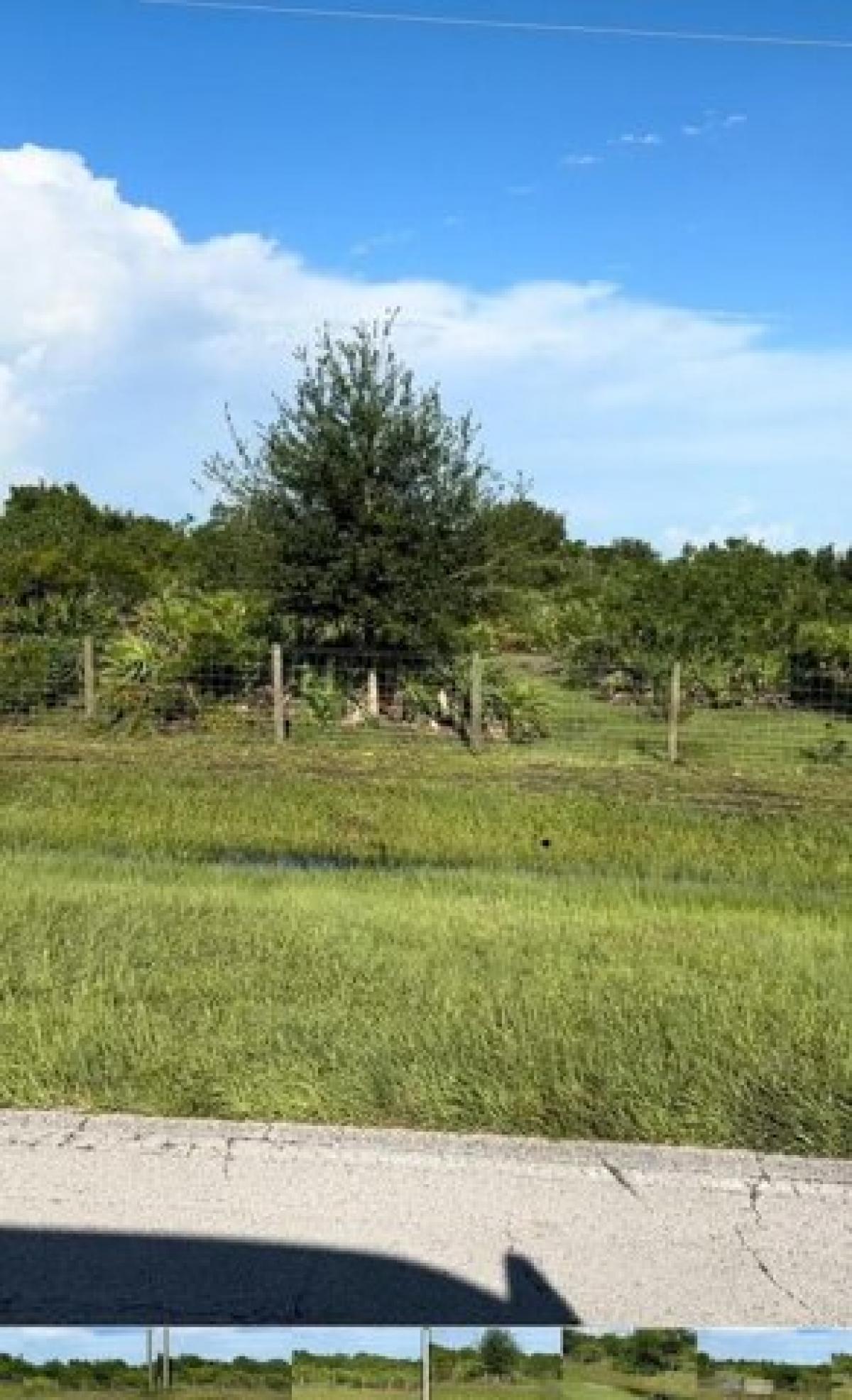 Picture of Residential Land For Sale in Okeechobee, Florida, United States