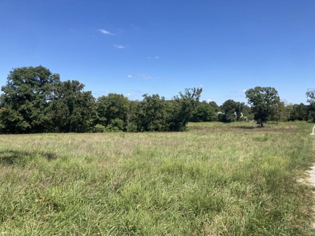 Picture of Residential Land For Sale in Mansfield, Missouri, United States