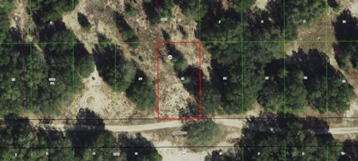 Picture of Residential Land For Sale in Inverness, Florida, United States