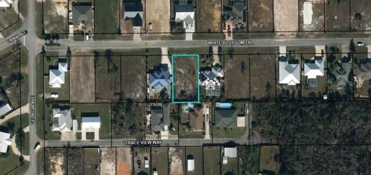 Picture of Residential Land For Sale in Port Saint Joe, Florida, United States