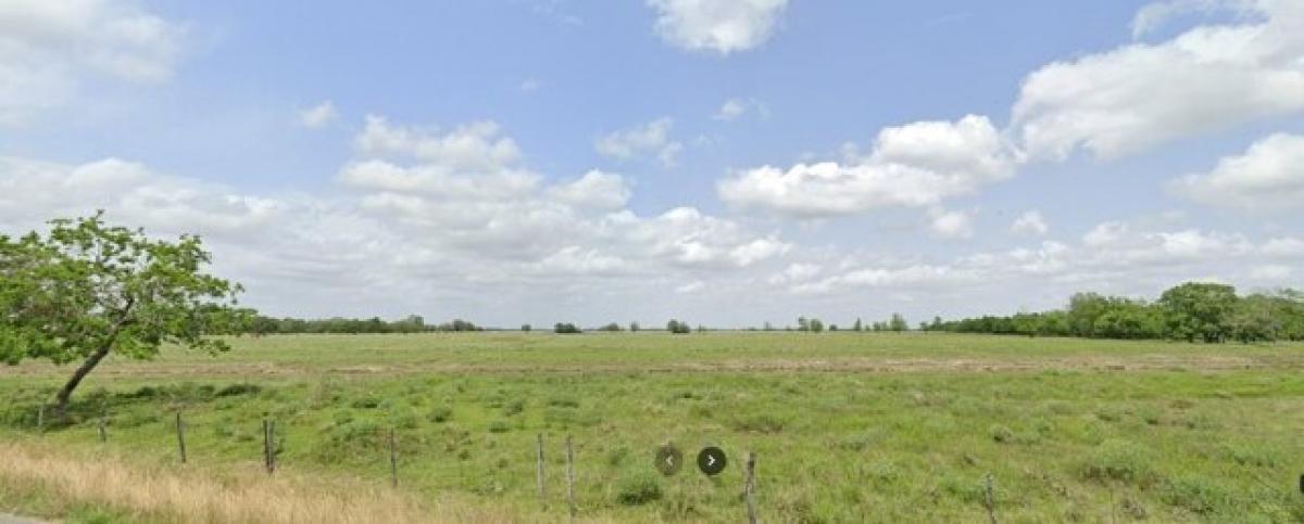 Picture of Residential Land For Sale in Needville, Texas, United States