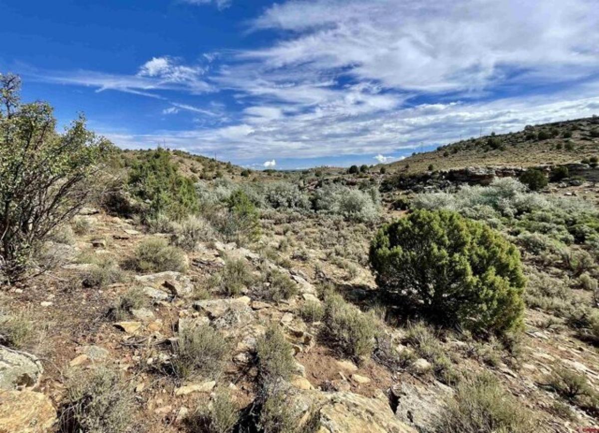 Picture of Residential Land For Sale in Cortez, Colorado, United States