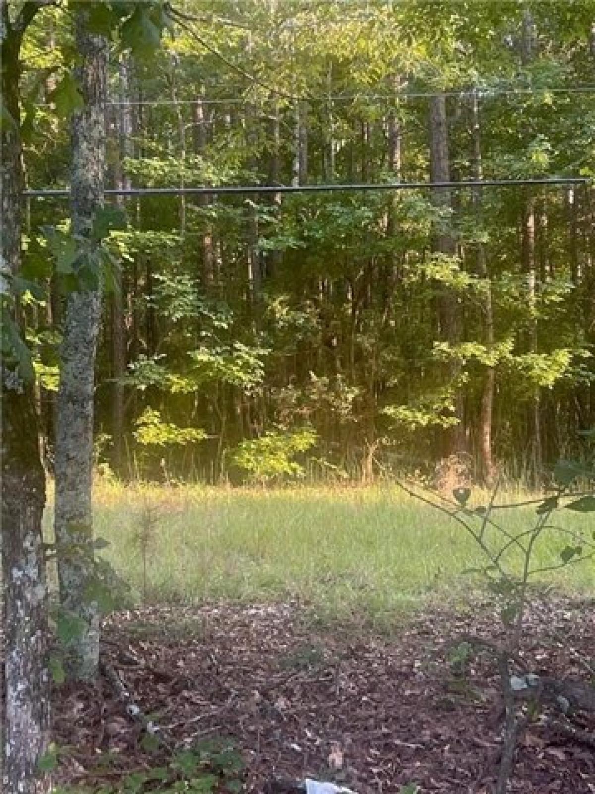 Picture of Residential Land For Sale in Aragon, Georgia, United States