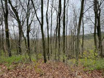 Residential Land For Rent in Holiday Island, Arkansas