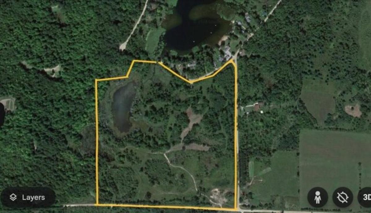 Picture of Residential Land For Sale in Gladwin, Michigan, United States