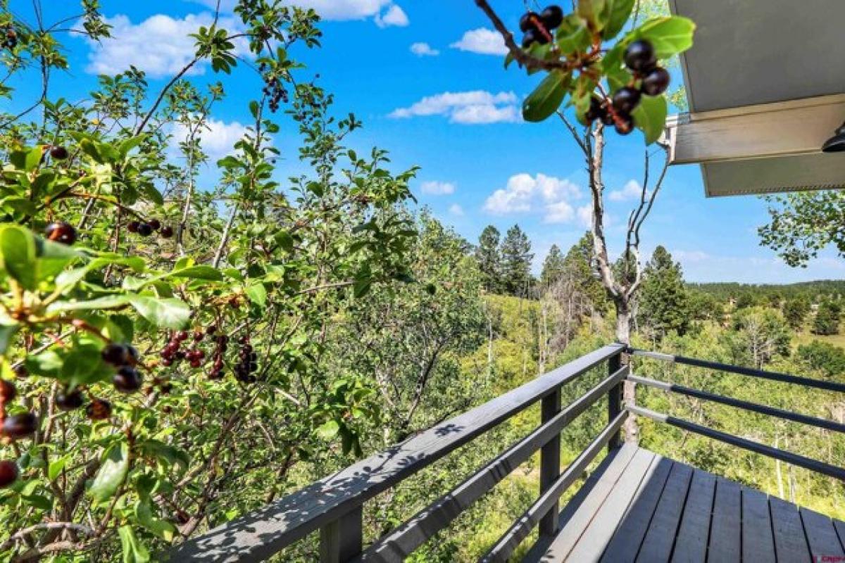 Picture of Home For Sale in Ridgway, Colorado, United States