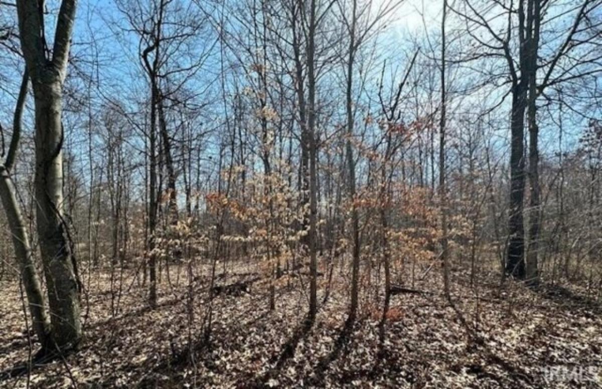 Picture of Residential Land For Sale in Martinsville, Indiana, United States