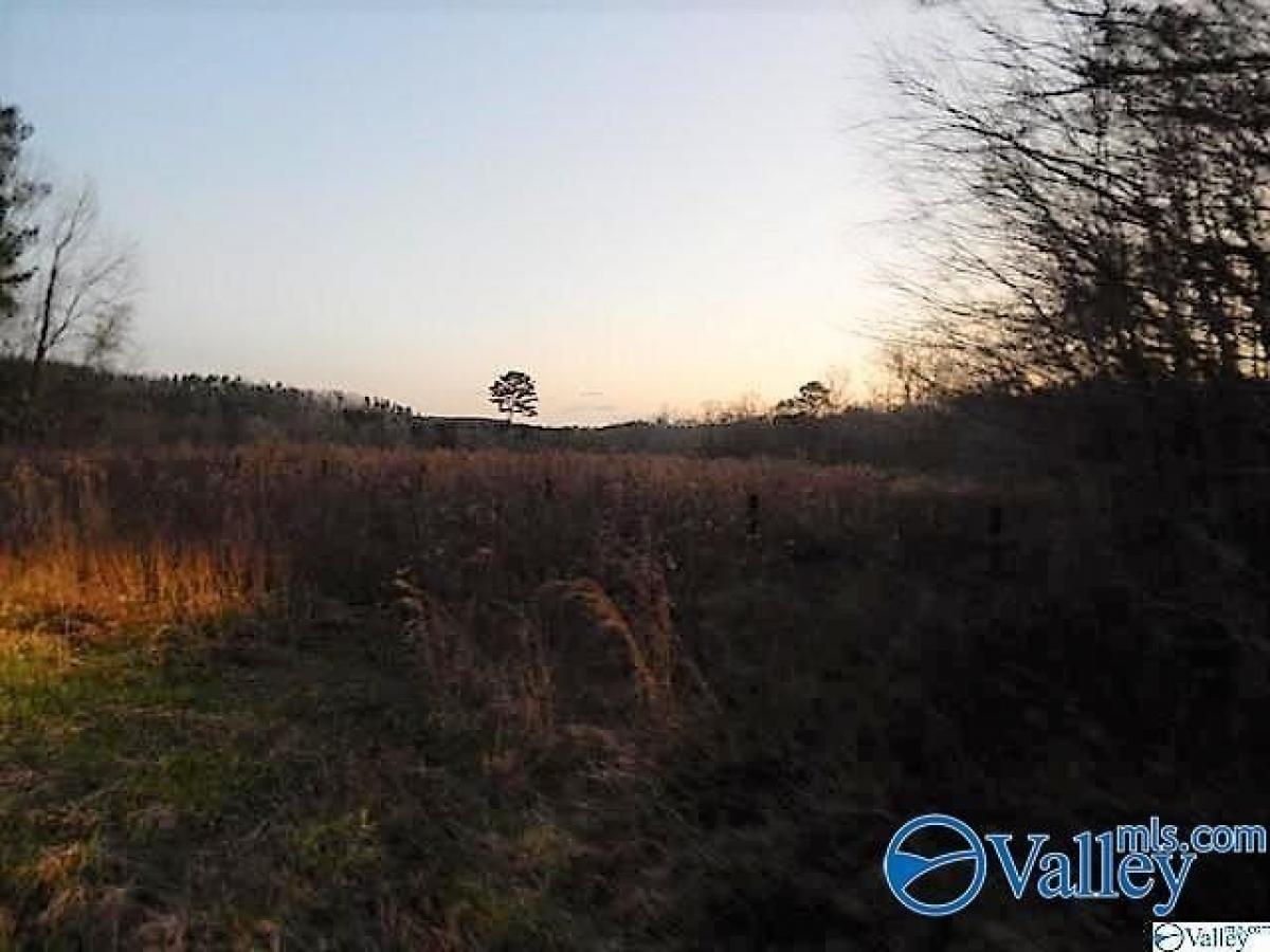 Picture of Residential Land For Sale in Heflin, Alabama, United States