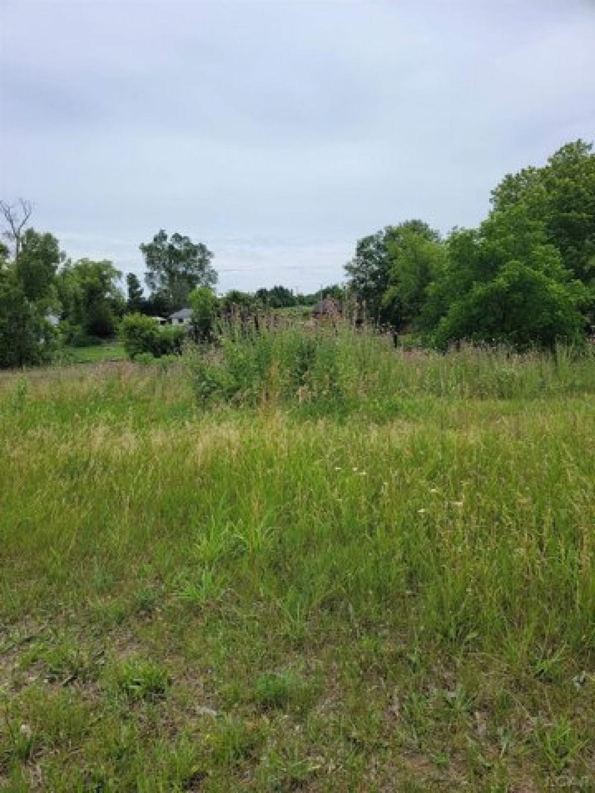 Picture of Residential Land For Sale in Onsted, Michigan, United States