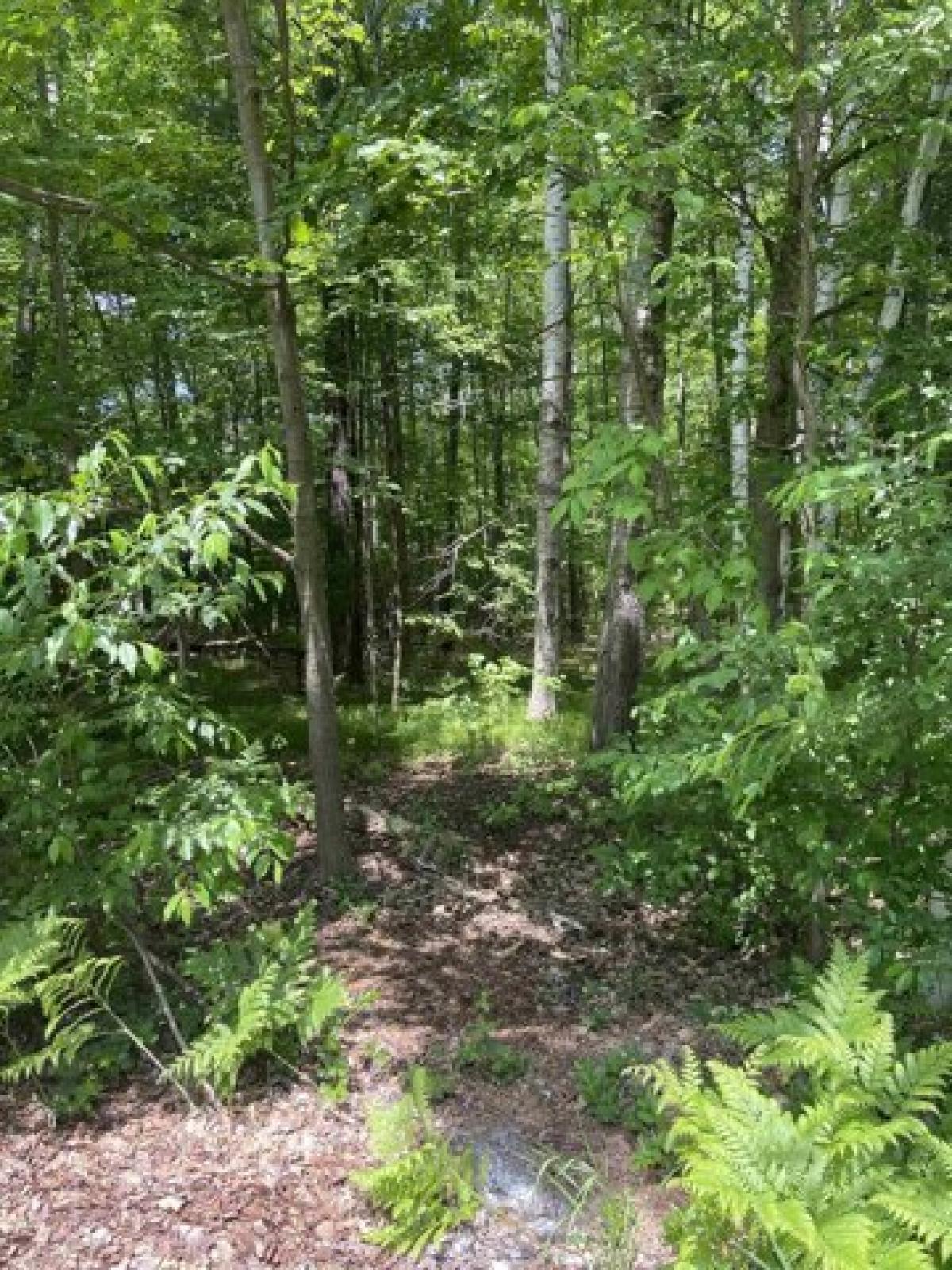 Picture of Residential Land For Sale in Suamico, Wisconsin, United States