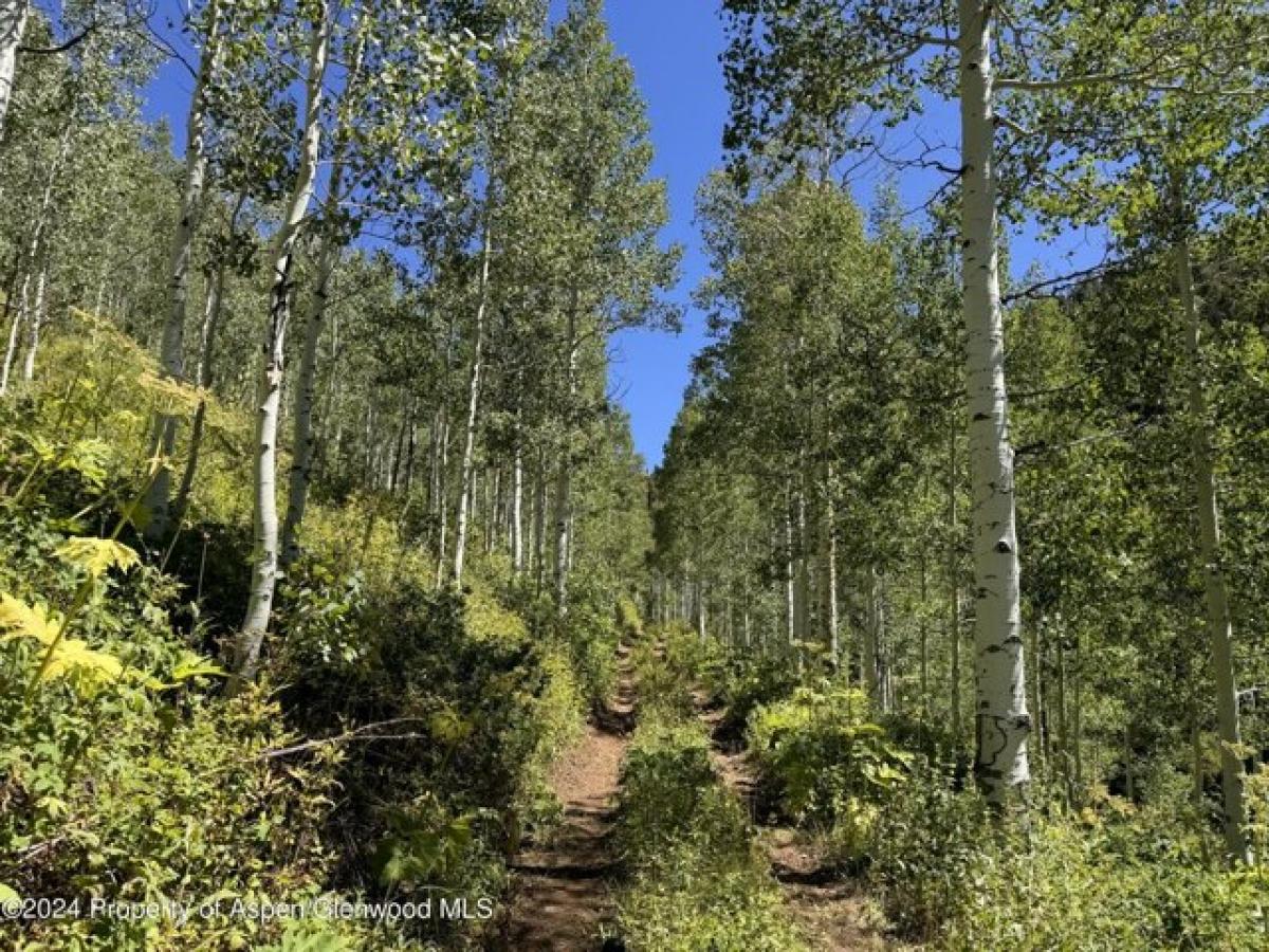 Picture of Home For Sale in Glenwood Springs, Colorado, United States