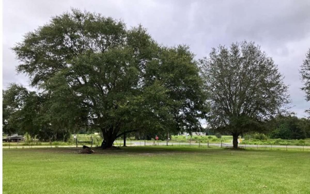 Picture of Home For Sale in Fort White, Florida, United States