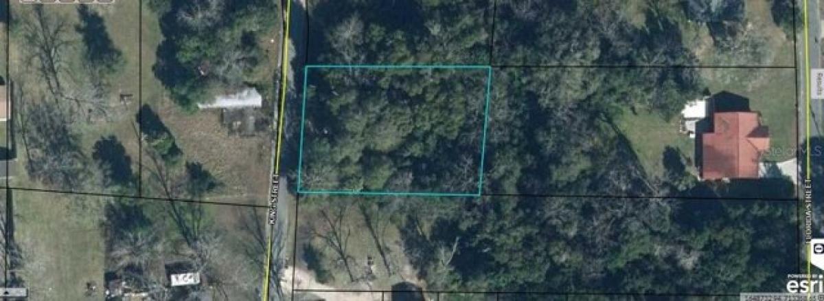 Picture of Residential Land For Rent in Graceville, Florida, United States