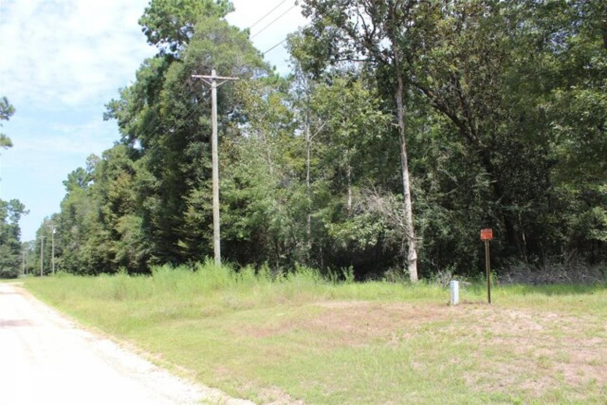 Picture of Residential Land For Sale in Livingston, Texas, United States