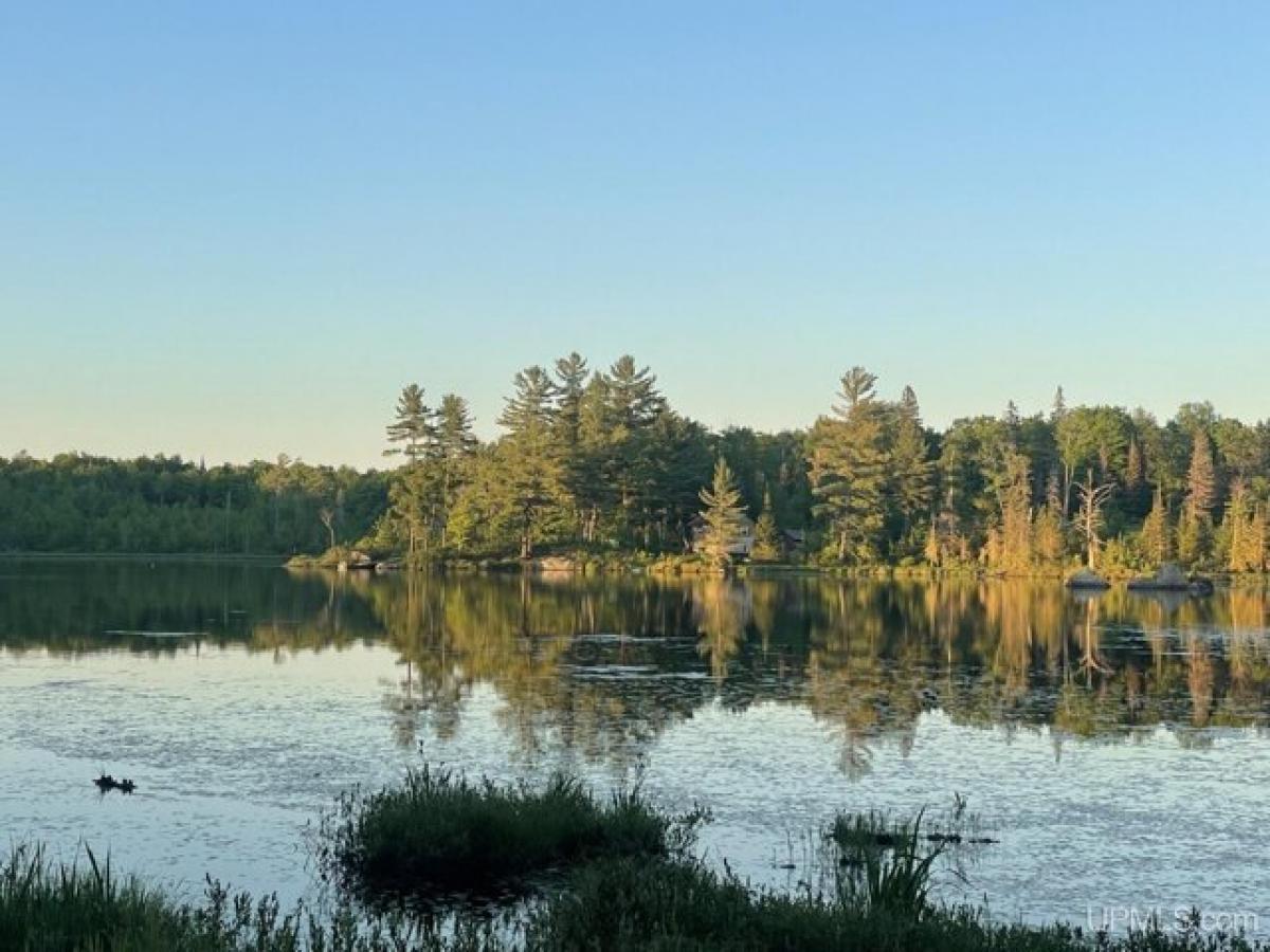 Picture of Residential Land For Sale in Champion, Michigan, United States