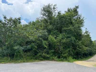 Residential Land For Sale in Marianna, Florida