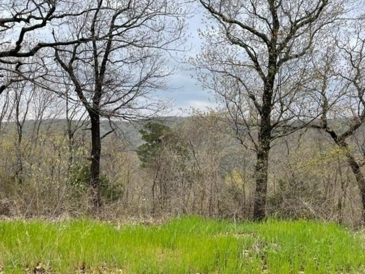 Picture of Residential Land For Rent in Holiday Island, Arkansas, United States