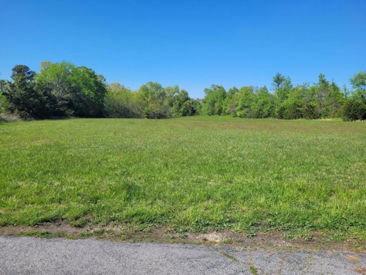 Picture of Residential Land For Sale in Mountain Grove, Missouri, United States