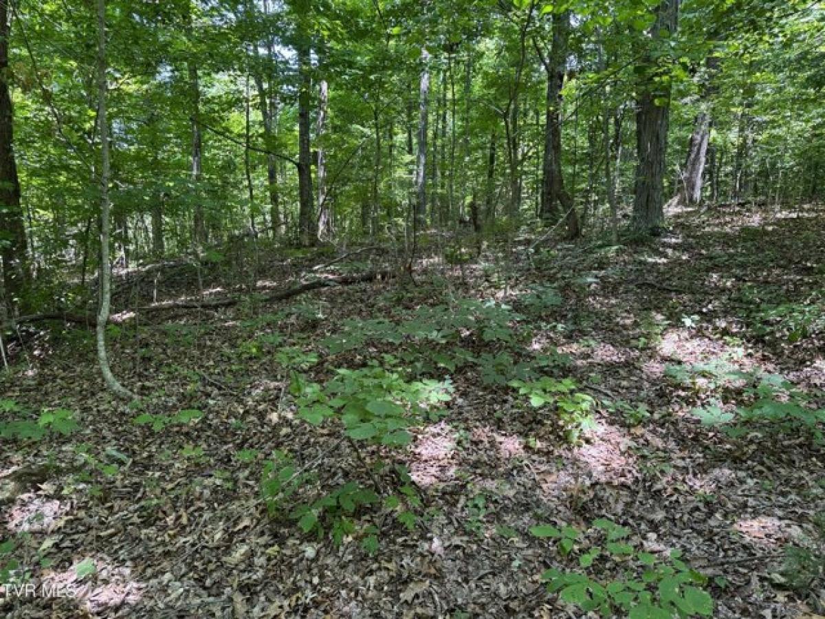 Picture of Residential Land For Sale in Afton, Tennessee, United States