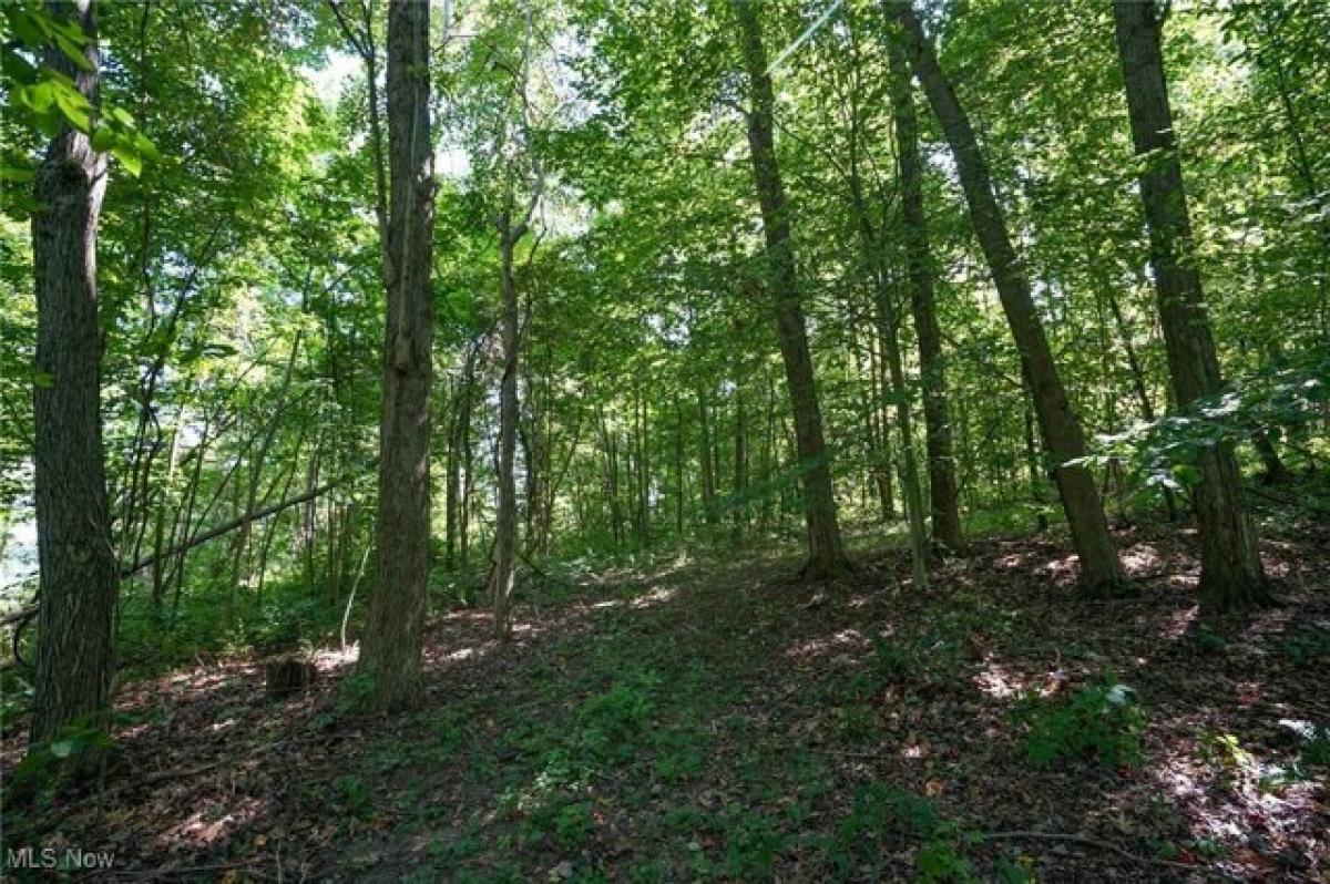 Picture of Residential Land For Sale in Kimbolton, Ohio, United States