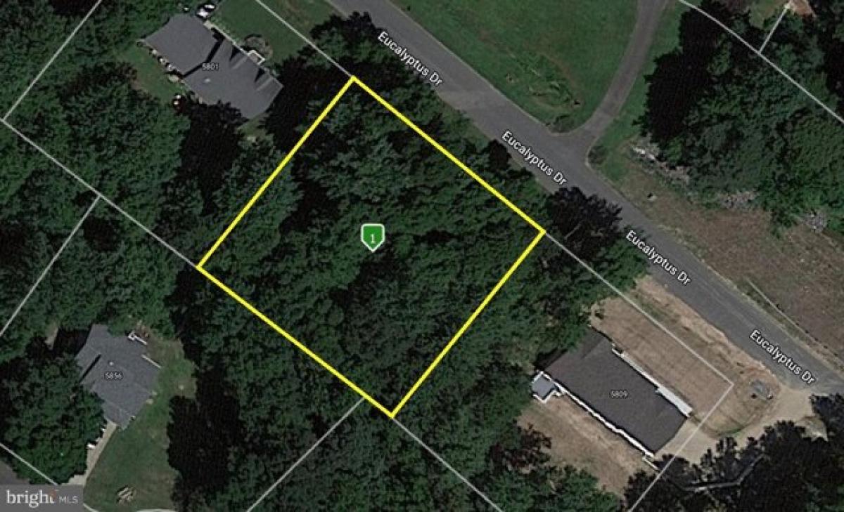 Picture of Residential Land For Sale in Saint Leonard, Maryland, United States