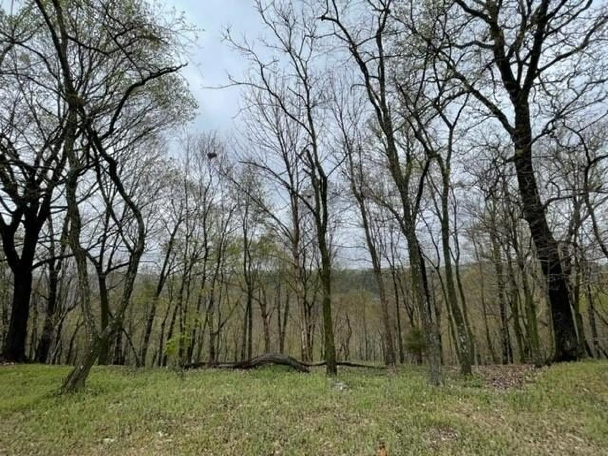 Picture of Residential Land For Rent in Holiday Island, Arkansas, United States