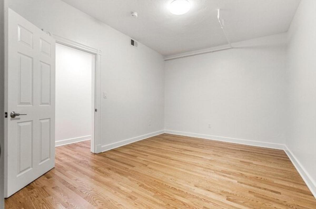 Picture of Apartment For Rent in Cambridge, Massachusetts, United States