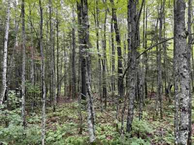 Residential Land For Sale in Duluth, Minnesota