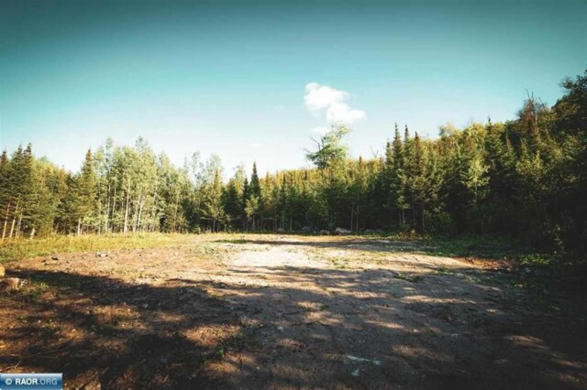 Picture of Residential Land For Sale in Cook, Minnesota, United States