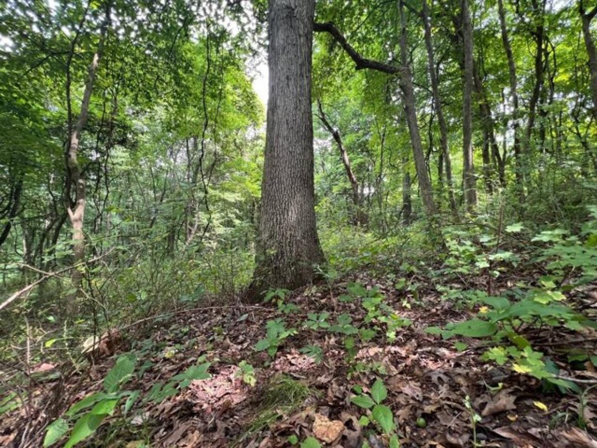 Picture of Residential Land For Rent in Perrysville, Ohio, United States