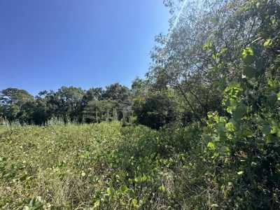 Residential Land For Sale in Crestview, Florida