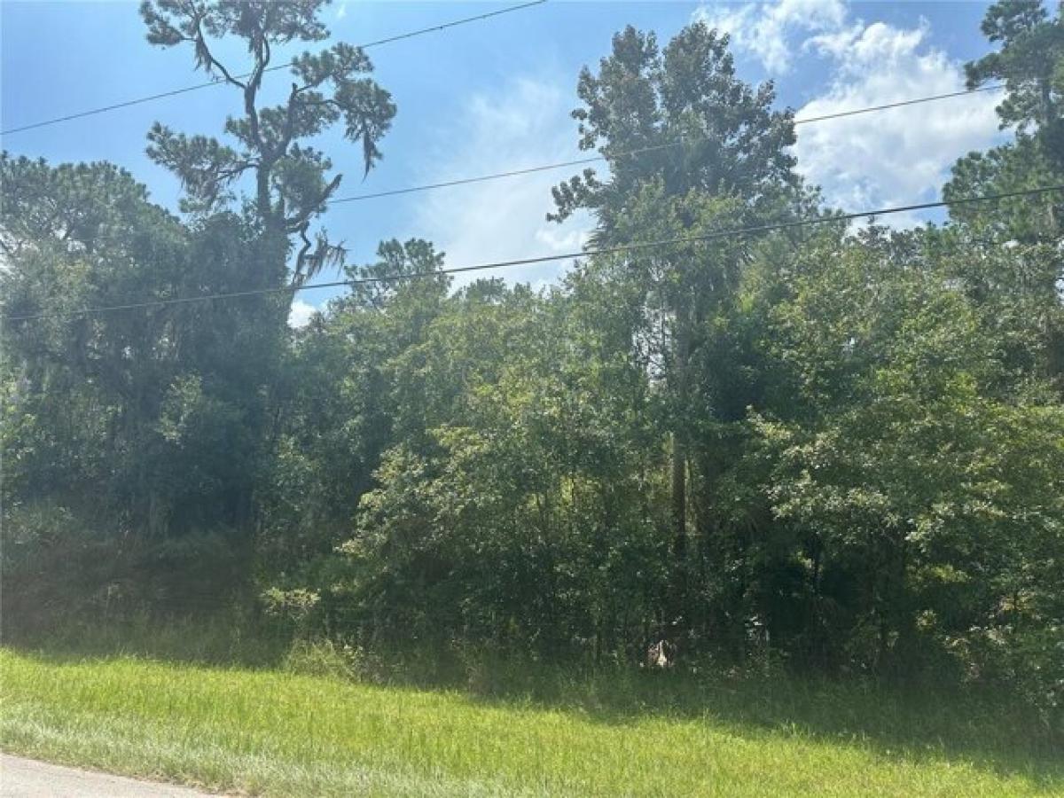 Picture of Residential Land For Sale in Deland, Florida, United States