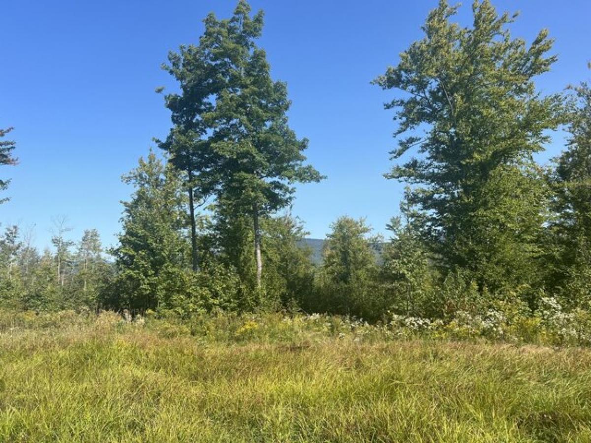 Picture of Residential Land For Sale in Bethel, Maine, United States