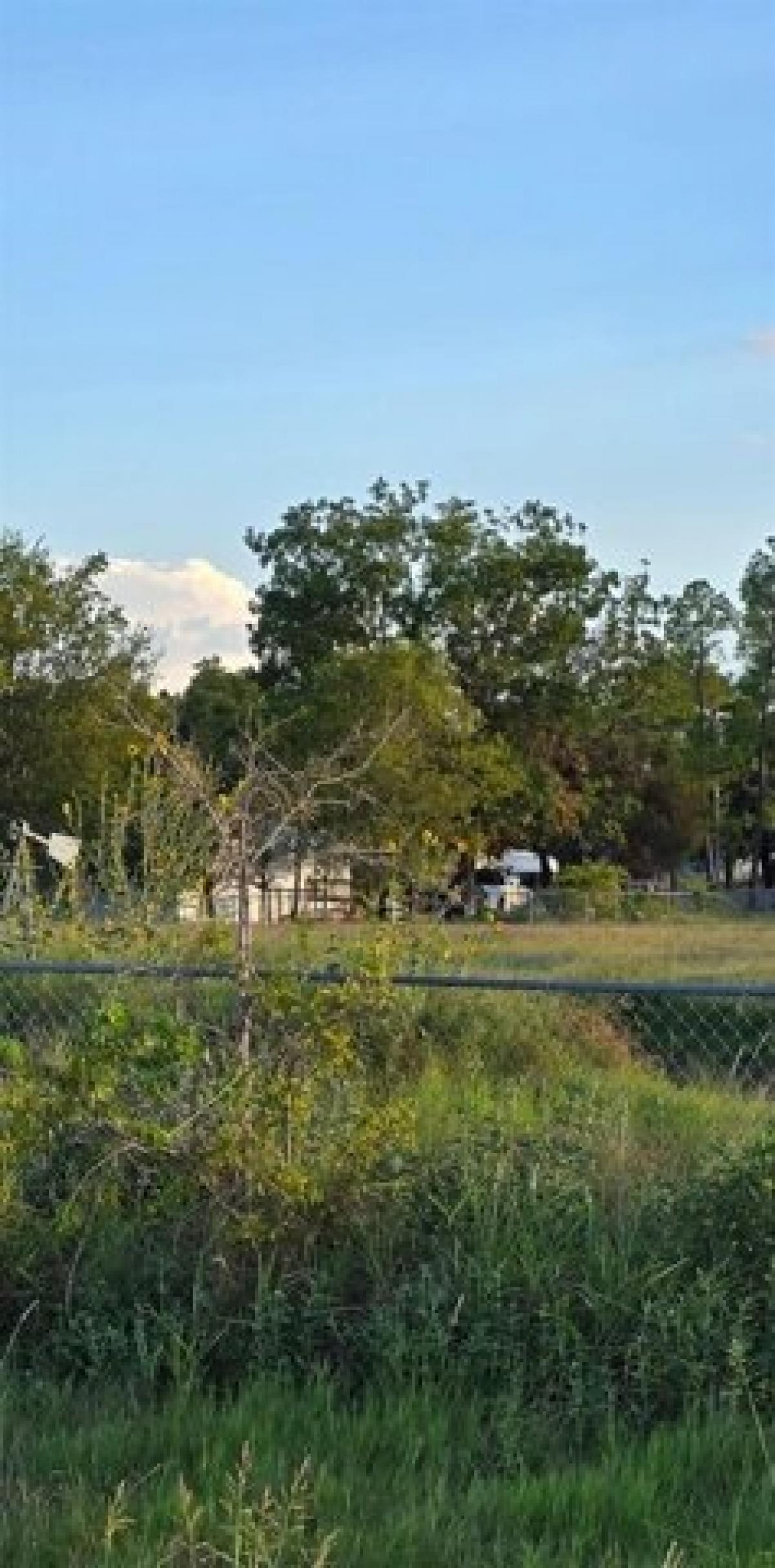 Picture of Residential Land For Sale in Terrell, Texas, United States