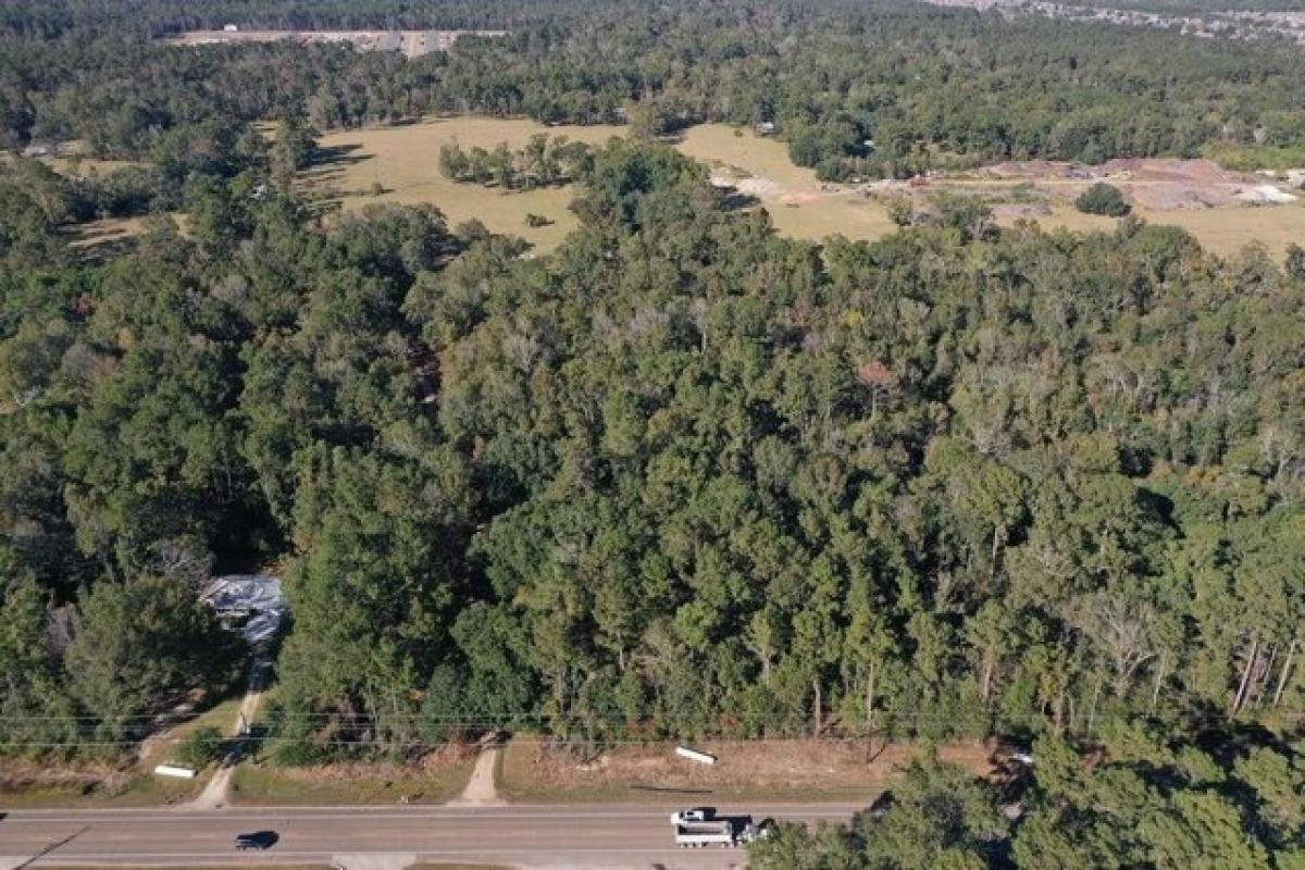 Picture of Residential Land For Sale in Ponchatoula, Louisiana, United States