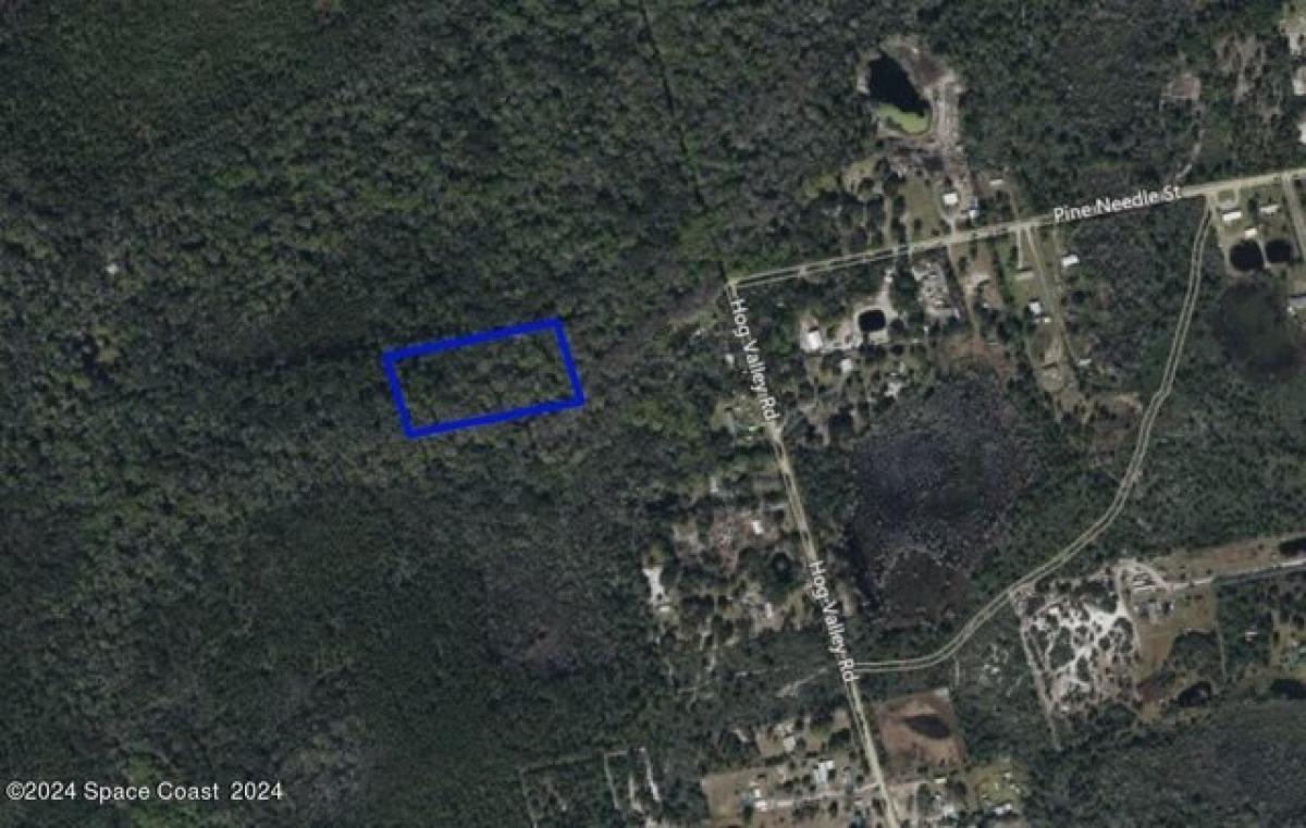 Picture of Residential Land For Sale in Mims, Florida, United States