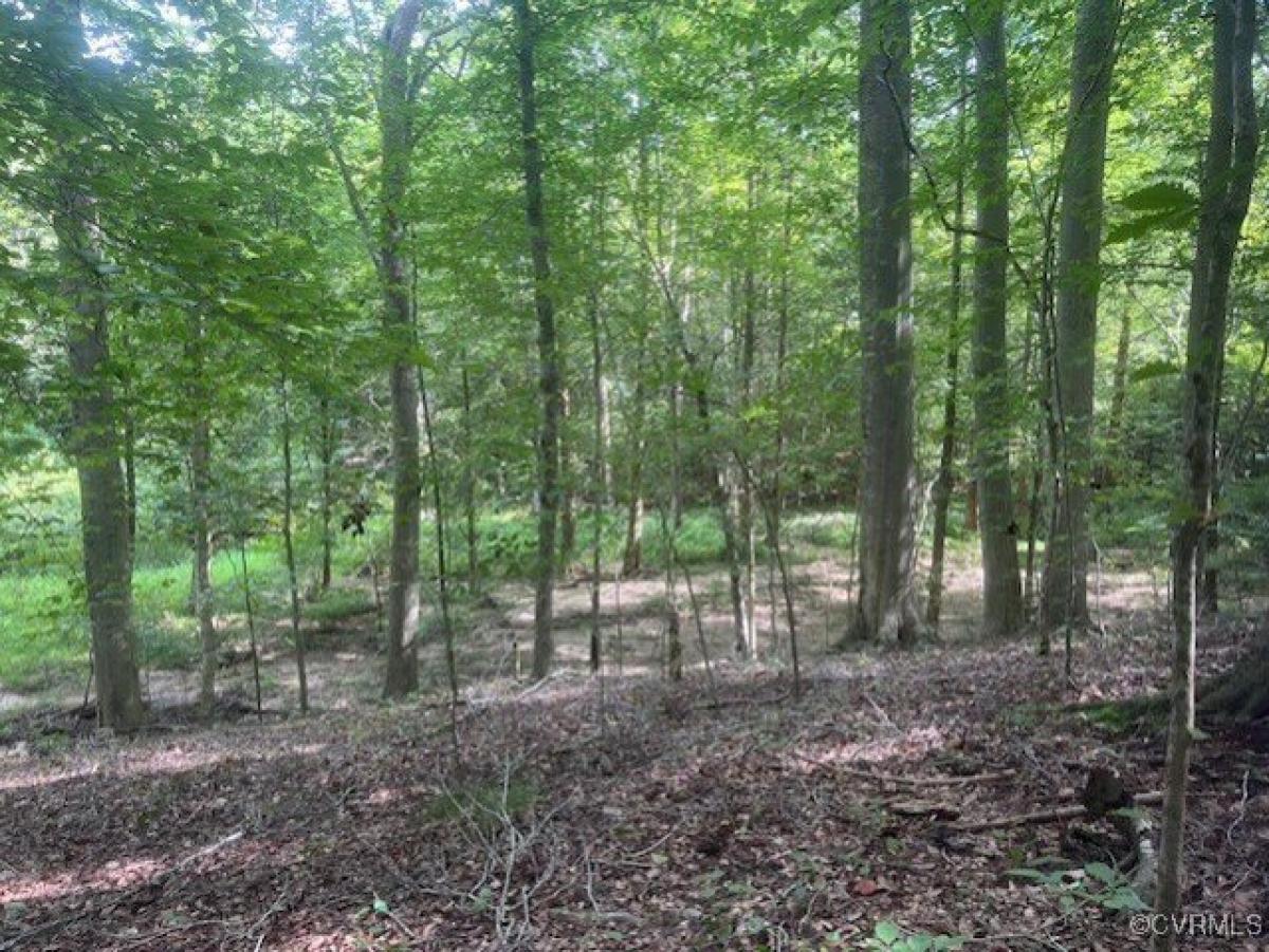 Picture of Residential Land For Sale in New Kent, Virginia, United States