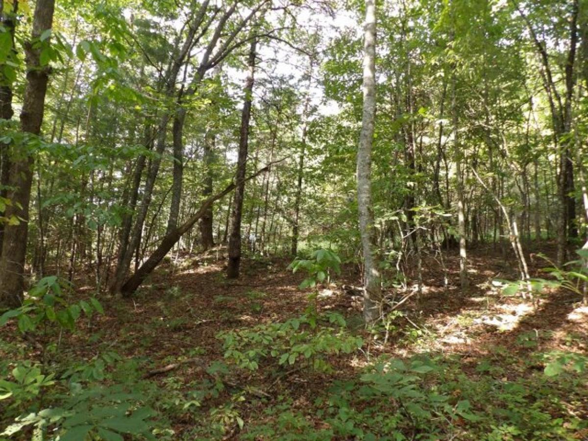 Picture of Residential Land For Sale in Deer Lodge, Tennessee, United States