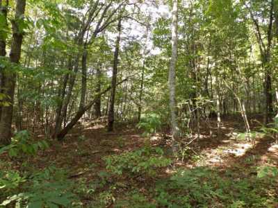 Residential Land For Sale in Deer Lodge, Tennessee