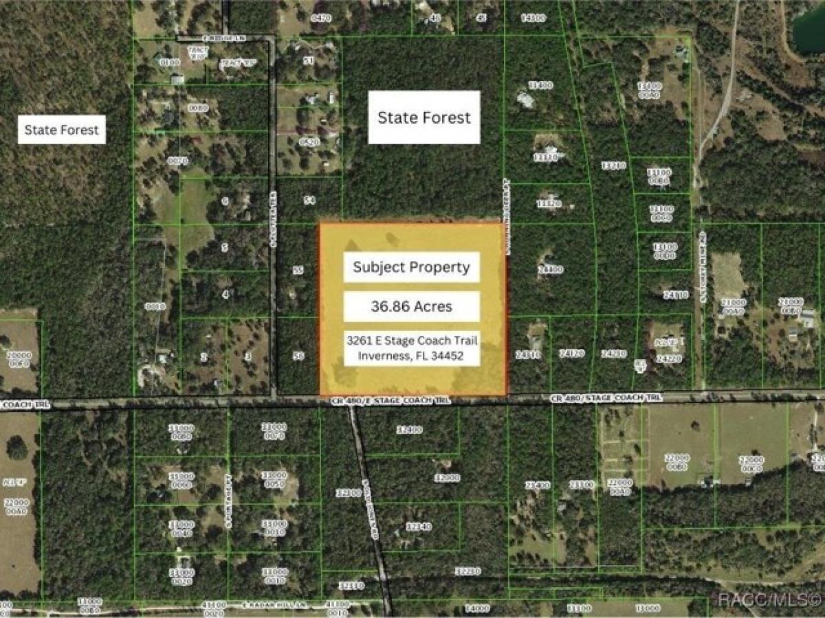 Picture of Residential Land For Sale in Inverness, Florida, United States