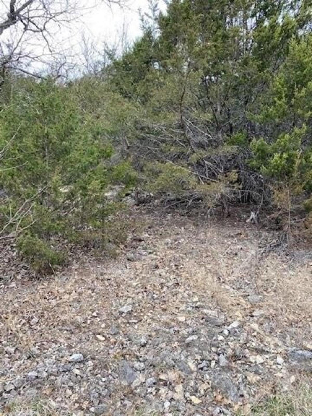 Picture of Residential Land For Sale in Holiday Island, Arkansas, United States