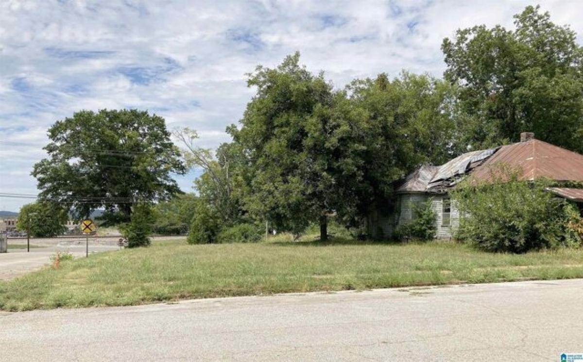 Picture of Residential Land For Sale in Bessemer, Alabama, United States