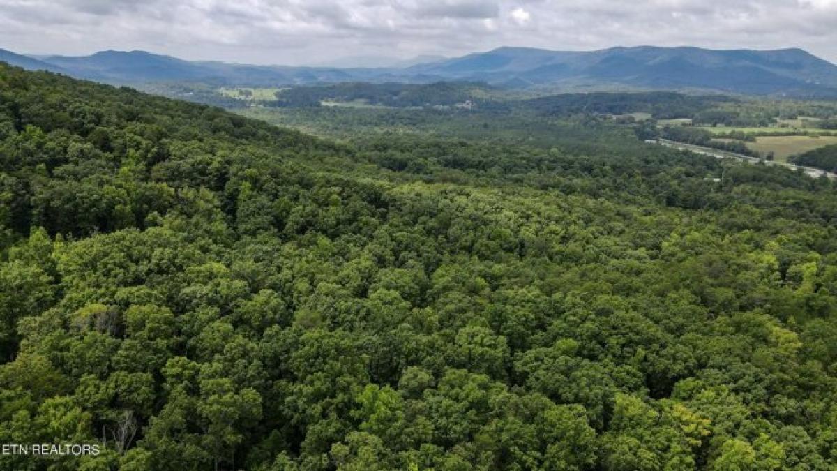 Picture of Residential Land For Sale in Tellico Plains, Tennessee, United States