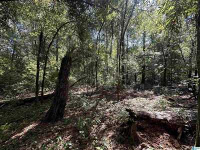 Residential Land For Sale in Millbrook, Alabama