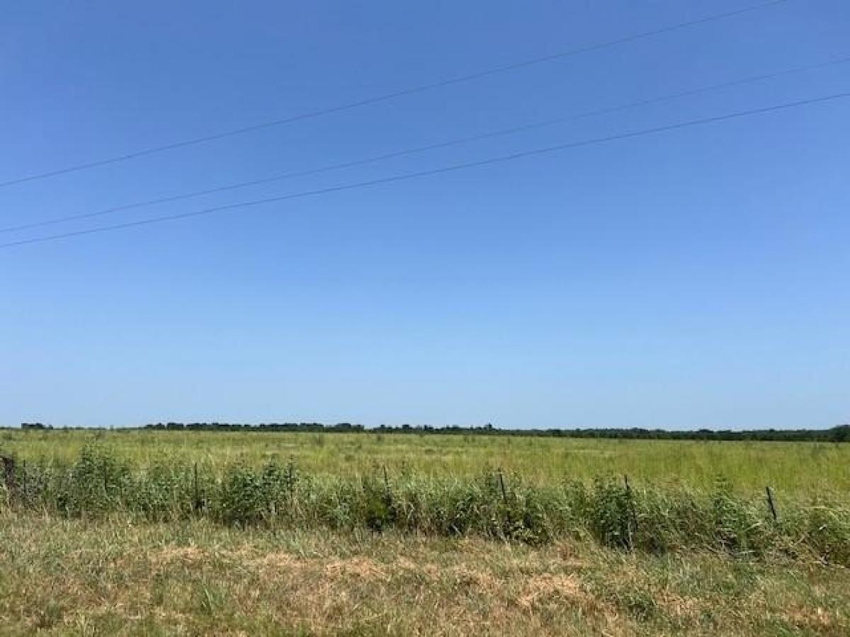 Picture of Residential Land For Sale in Pecan Gap, Texas, United States