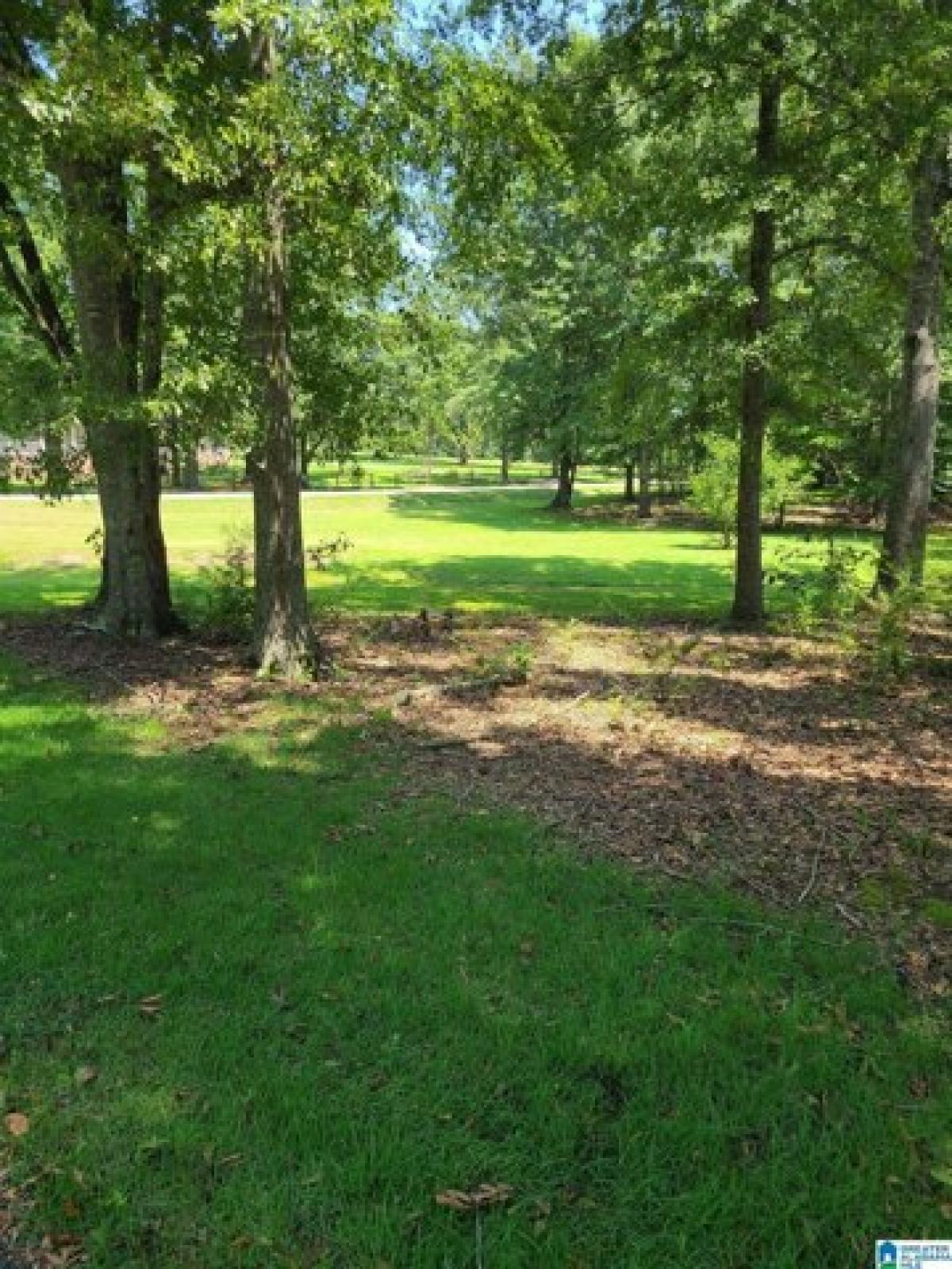 Picture of Residential Land For Sale in Thorsby, Alabama, United States