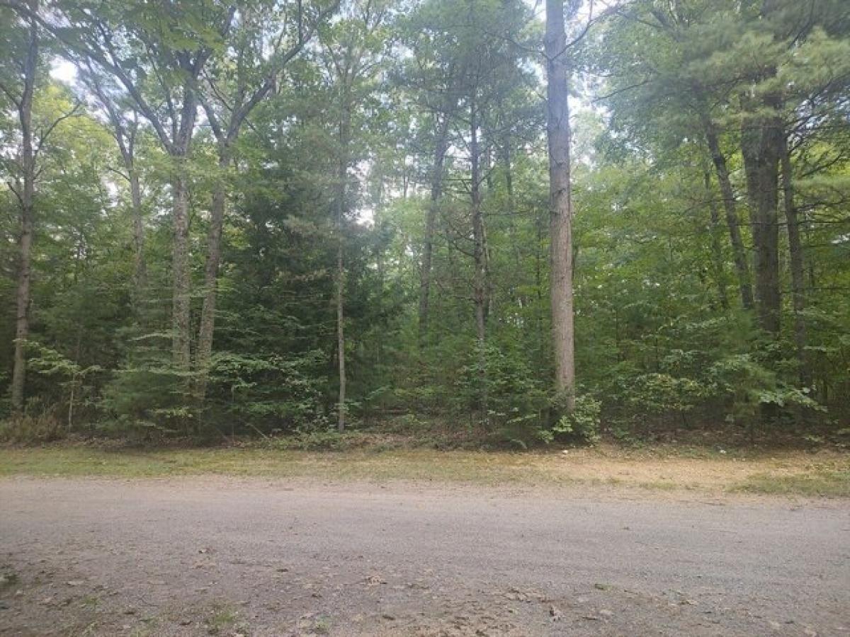 Picture of Residential Land For Sale in East Brookfield, Massachusetts, United States