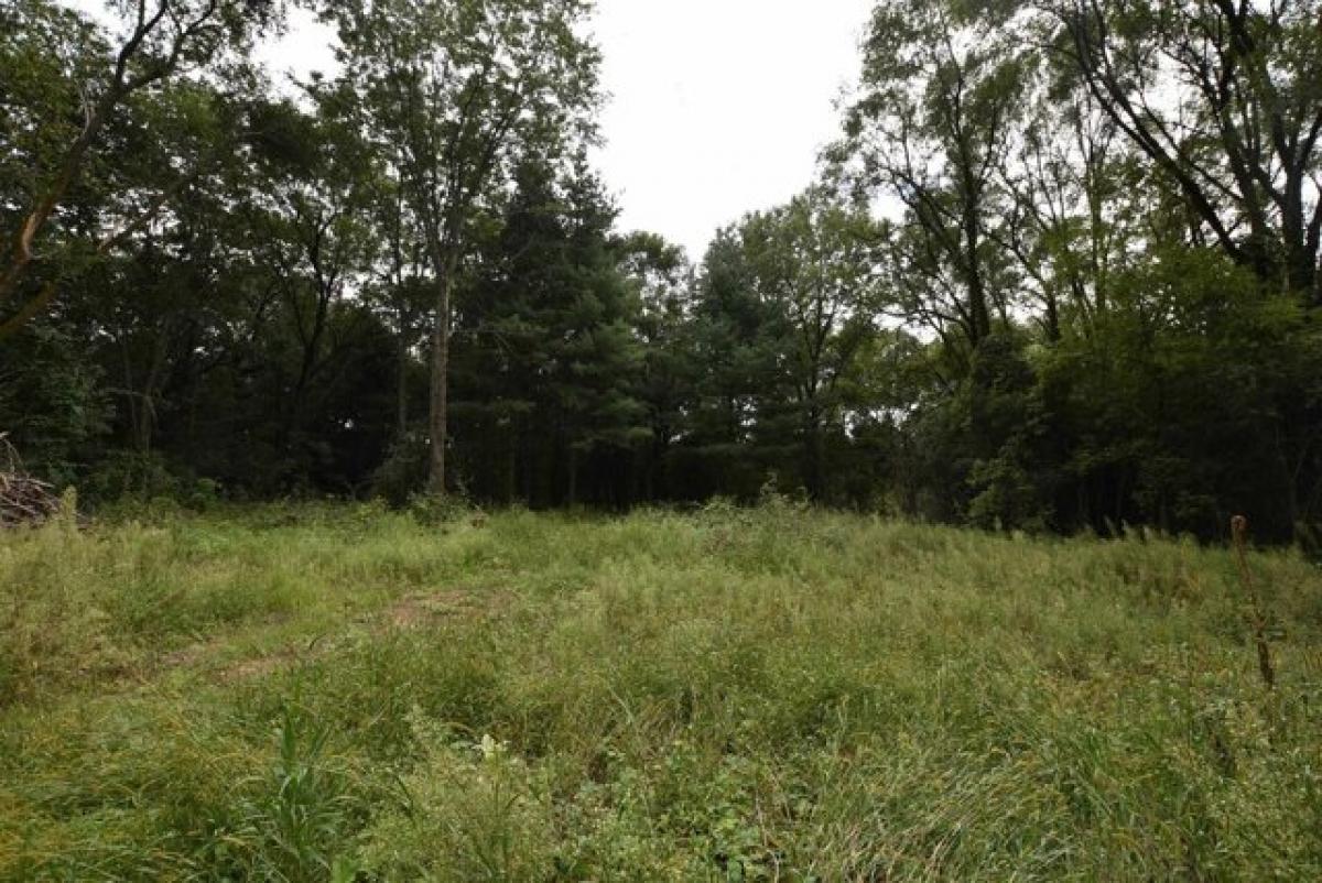 Picture of Residential Land For Sale in Wautoma, Wisconsin, United States