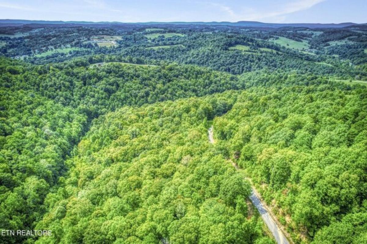 Picture of Residential Land For Sale in New Tazewell, Tennessee, United States