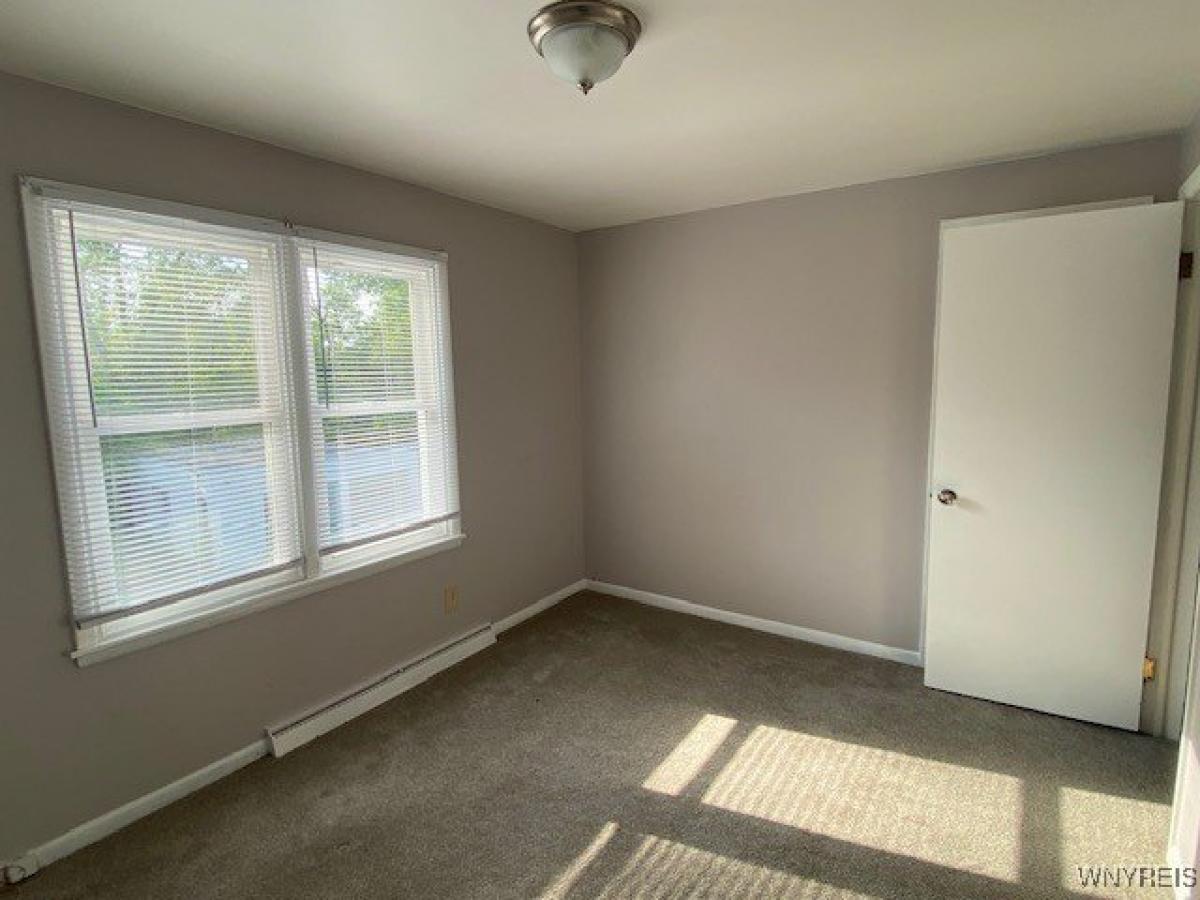 Picture of Apartment For Rent in Williamsville, New York, United States